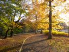 DSCN6212.jpg