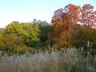 DSCN6215.jpg