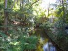 DSCN6258.jpg