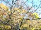 DSCN6264.jpg