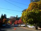 DSCN6342-1.jpg