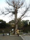 DSCN6463.jpg