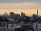 DSCN6540.jpg