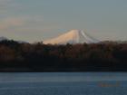 DSCN6598.jpg