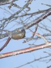 DSCN6632.jpg