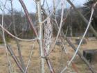 DSCN6633.jpg