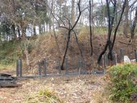 DSCN6938.jpg