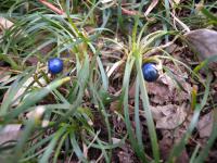 DSCN6973.jpg