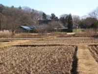 DSCN7017.jpg
