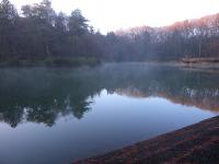 DSCN7060.jpg