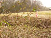 DSCN7123.jpg