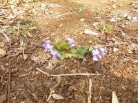 DSCN7128.jpg