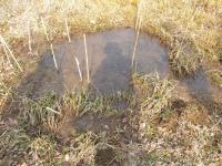 DSCN7139.jpg