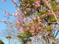 DSCN7163.jpg