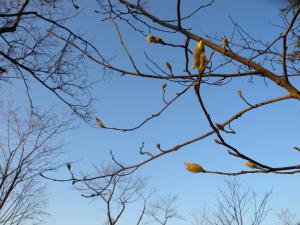 DSCN7165.jpg