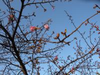 DSCN7170.jpg