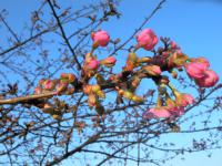 DSCN7179.jpg