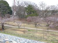 DSCN7237.jpg