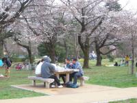 DSCN7241.jpg