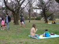 DSCN7243.jpg