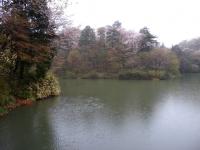 DSCN7370.jpg