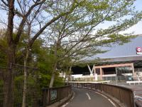 DSCN7410.jpg