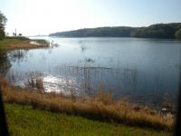 DSCN7441.jpg