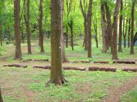 DSCN7467.jpg