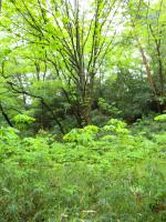DSCN7472.jpg