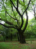 DSCN7473.jpg