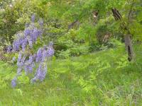 DSCN7546.jpg