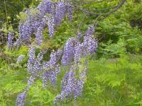 DSCN7547.jpg