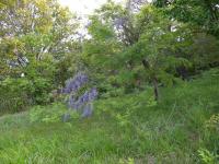 DSCN7549.jpg