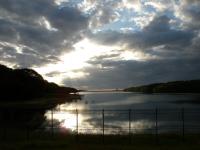 DSCN7564.jpg