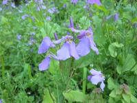 DSCN7588.jpg