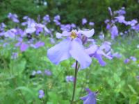 DSCN7590.jpg