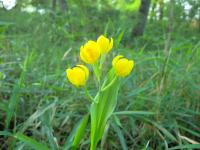 DSCN7608.jpg