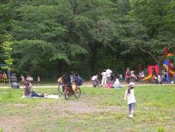 DSCN7727-1.jpg