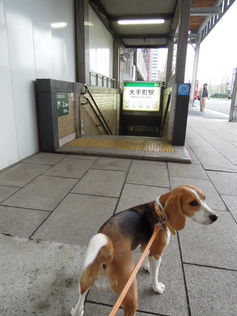 DSCN2723.jpg