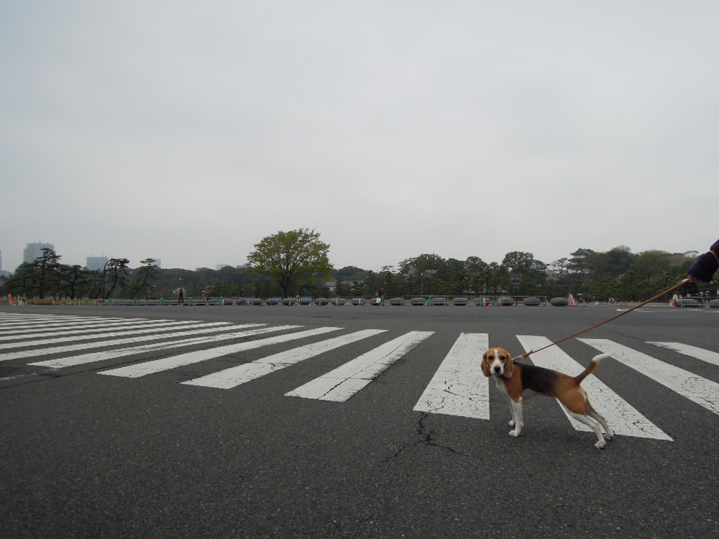 DSCN2726.jpg