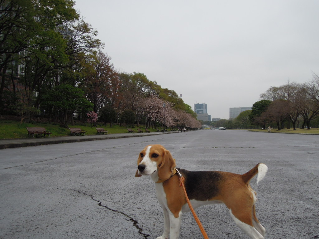 DSCN2738.jpg