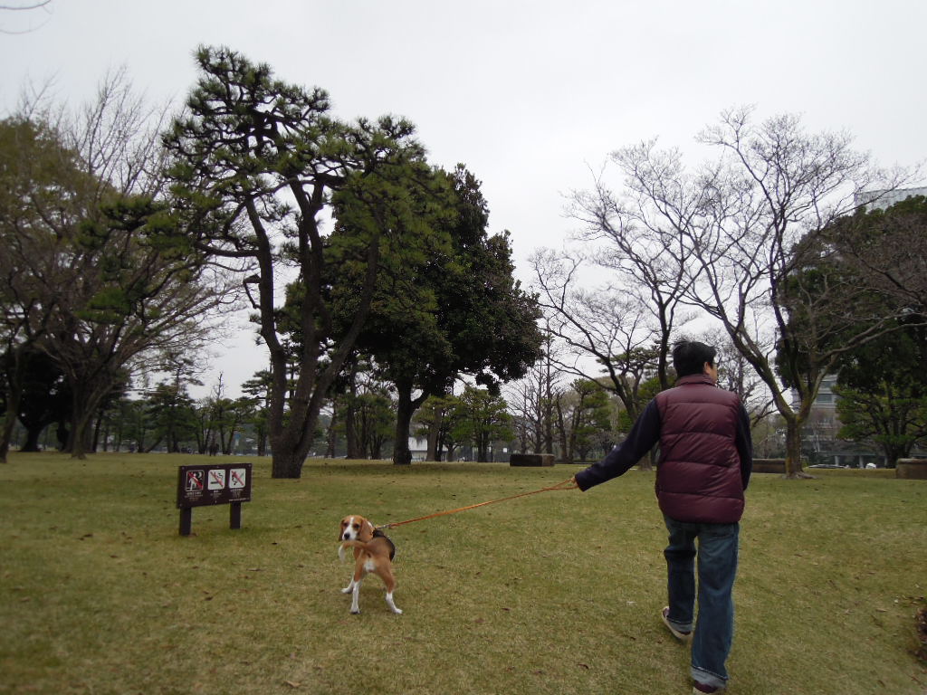 DSCN2741.jpg
