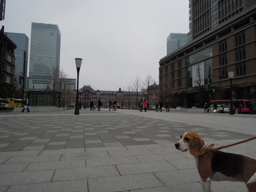 DSCN2753.jpg