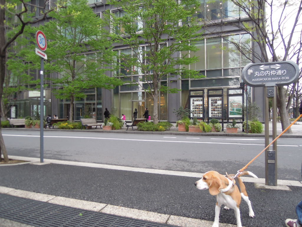DSCN2754.jpg