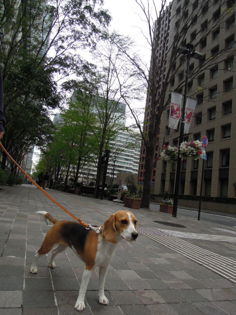DSCN2760.jpg