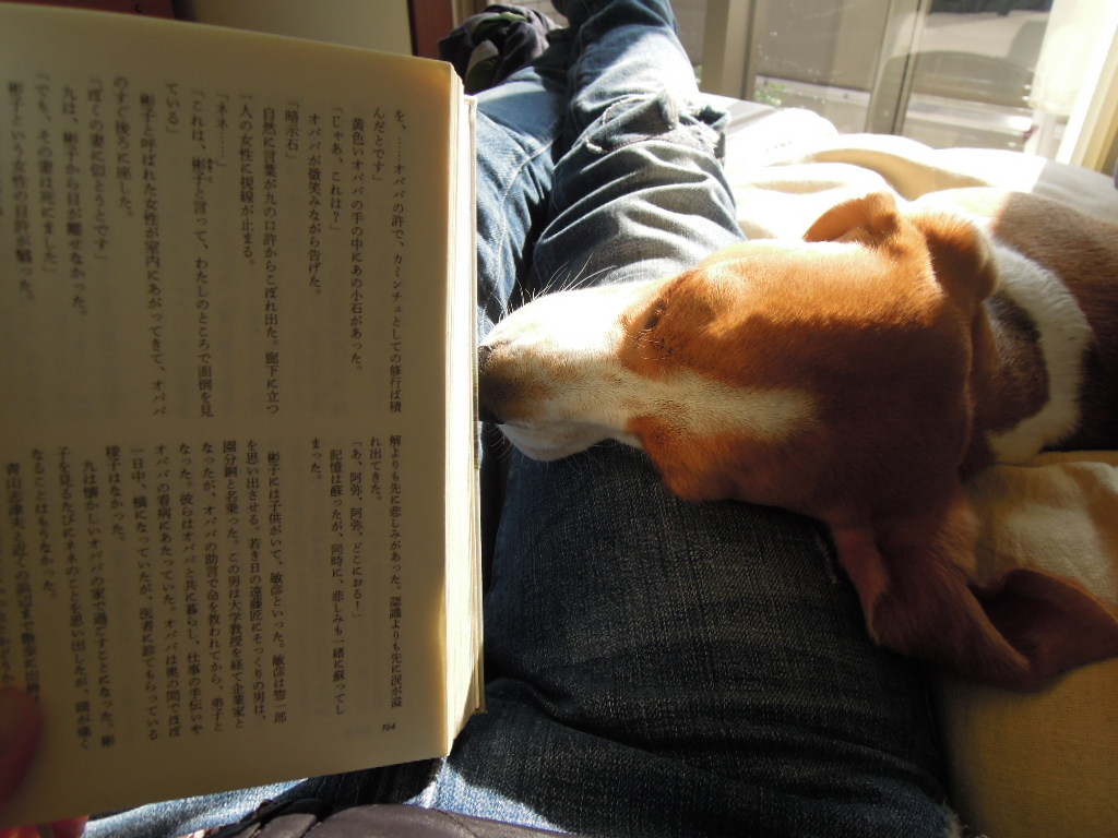 DSCN2963.jpg