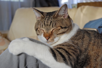 DSC_0012_201410301605070cb.jpg