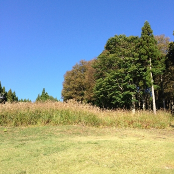 IMG_7873.jpg