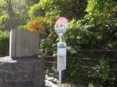 IMGP4905.jpg
