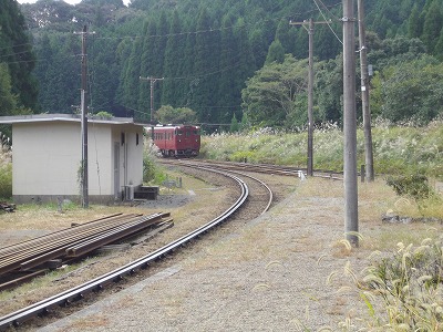 IMGP5041.jpg